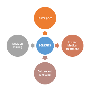 Pros And Cons Of Medical Tourism | EdhaCare