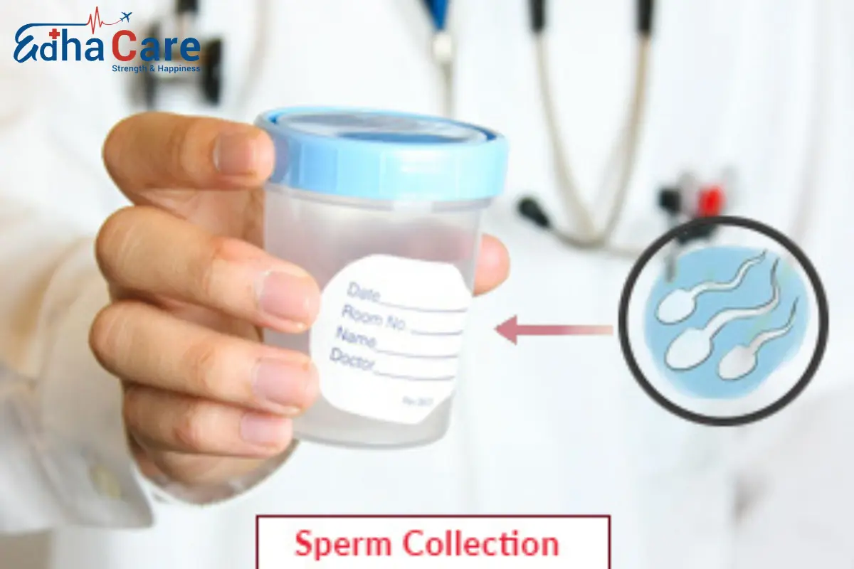 Sperm Collection | Semen Collection For IVF | EdhaCare